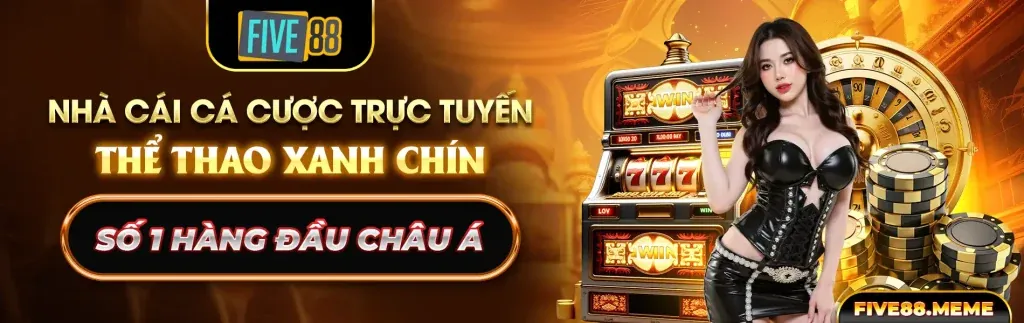 Giao diện chính thức của 8qbet, nền tảng cá cược trực tuyến an toàn và hiện đại