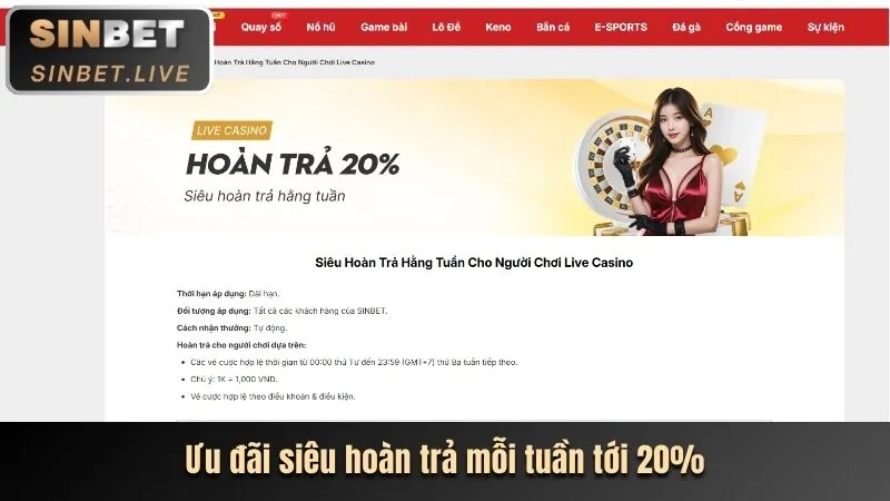 Chương trình hoàn trả thua cược 8qbet